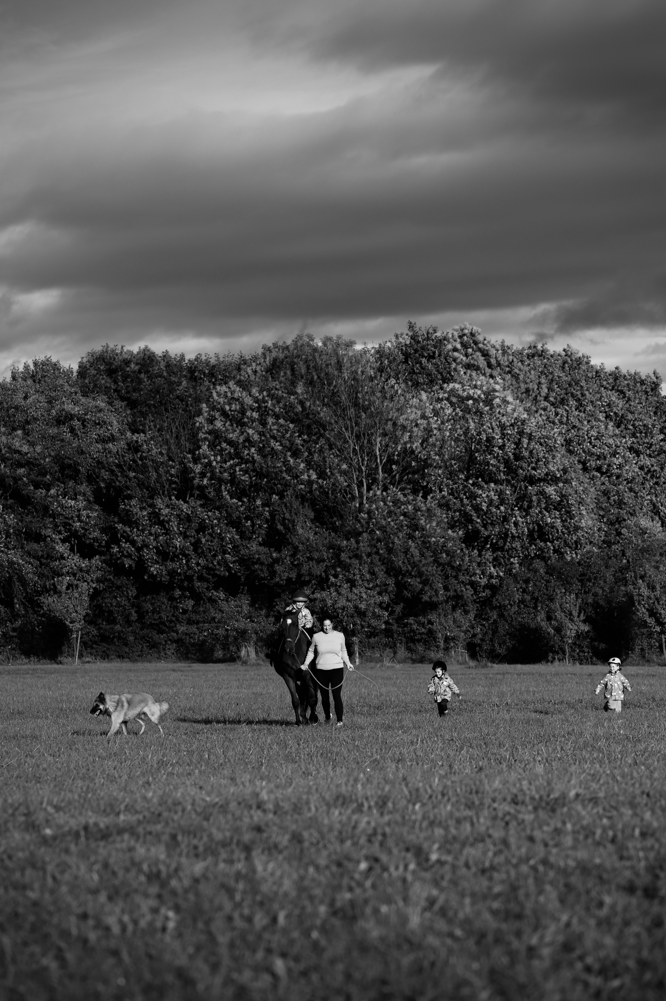 IMG_2296.jpg